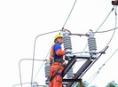 Vì COVID-19, Tập đoàn Điện lực đề xuất miễn, giảm giá điện