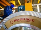 Hoa Sen muốn mua lại 22 triệu cổ phiếu làm cổ phiếu quỹ