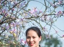 Khám phá vẻ đẹp mùa xuân phương Bắc