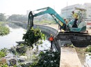 TP.HCM tăng cường xử phạt hành vi xả rác nơi công cộng