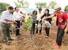 “Quỹ 1 triệu cây xanh cho Việt Nam" sẽ hoàn thành năm 2020