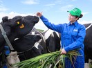 Mộc Châu Milk chính thức lên sàn UPCOM