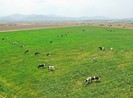 Câu chuyện 10 năm “vươn ra thế giới” của Vinamilk