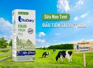 VitaDairy sở hữu trang trại sữa tại đảo Tasmania Australia