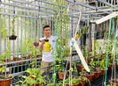Tài Trần: khởi nghiệp tay trắng đến chủ vườn lan đột biến