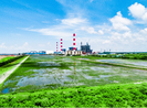 EVNGENCO1: Màu xanh trên các bãi thu xỉ nhiệt điện