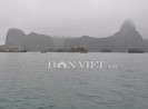 Một du khách Anh tử nạn trên Vịnh Hạ Long