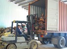 3 cán bộ hải quan để “lọt” vụ buôn lậu 614 m3 gỗ quý