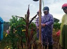 Vụ Cát Tường: Đã xác định được “chất lạ” dính trên thi thể chị Huyền