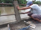 Trưởng ấp huy động người sửa lại lan can cầu bị phá