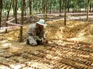 Phát hiện hầm đạn cối gần 500 quả tại Quảng Trị
