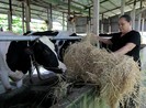 Nhà sản xuất cung cấp cám trực tiếp cho nông dân