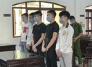5 thanh niên hầu tòa vì mua đi bán lại
