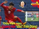 Thầy Park xem Quang Hải đấu Bùi Tiến Dũng, Federer bị phạt