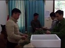 Video: Bắt giữ cặp vợ chồng vận chuyển 18kg quả thuốc phiện