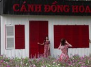 Video: Cánh đồng hoa bên sông Sài Gòn hút khách ngày đầu năm