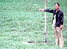 Chuyện lạ ở quận Tân Phú: Xây tường rào để ngăn ngừa dịch bệnh?