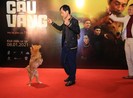 Những hình ảnh Cậu Vàng pose dáng trên thảm đỏ