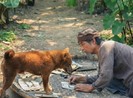 Phim Cậu Vàng chính thức rút khỏi hai rạp chiếu lớn