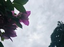 Ngắm TP.HCM bình yên trước thời điểm bão số 9 đến
