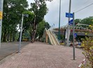 Nhà vườn dọn dẹp cây kiểng, trả mặt bằng về nhà đón Tết
