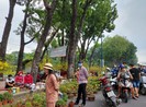 Ngày 30 Tết: Tấp nập mua bán, cây kiểng 'cháy hàng'