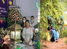Việt Nam có nhiều hoa hậu, người đẹp để làm gì?