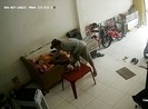 Camera ghi cảnh đè điện thoại khi ngủ trong nhà vẫn bị trộm