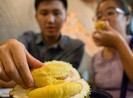 Cơ thể sẽ như thế nào nếu ăn quá nhiều sầu riêng?