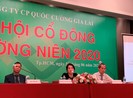 Quốc Cường Gia Lai khởi kiện đối tác ra tòa