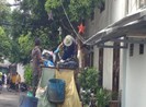 TP.HCM: Gom rác thải sinh hoạt tại nguồn theo ngày
