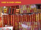 Coi chừng bị phạt nặng nếu bắn pháo hoa nổ