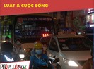 Người dân TP.HCM háo hức đón chờ xe buýt mini