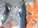 Cá thu có thể giúp làm giảm nguy cơ bệnh tiểu đường?