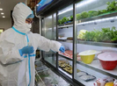 TP.HCM xét nghiệm virus SARS-CoV-2 với thực phẩm nhập khẩu