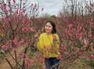 Làng đào Nhật Tân nhộn nhịp ngày cận tết