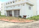 Cận cảnh 2 bệnh viện hàng trăm tỉ bỏ hoang ở Bình Dương