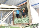 'Ông lớn' gạo vẫn được ưu ái hợp đồng cấp chính phủ