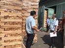 Công ty mẹ 'đẻ' ra nhiều công ty con để gian lận xuất xứ