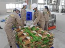 Đầu năm, gạo Việt Nam được nhiều nước mua với giá cao