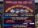 Mua bán lan đột biến hàng trăm tỉ phải đóng thuế gì?