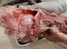 Làm sao nhận biết được thịt heo chứa sán dây?
