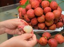 Thực hư quan niệm trái cây ăn vào gây nóng trong người