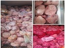 40 tấn thịt nhiễm dịch tả heo châu Phi tại cơ sở làm giò chả
