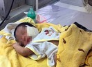 Đã tìm được người mẹ chôn con mới sinh