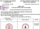 Vingroup bơm 1.300 tỉ lập hãng hàng không Vinpearl Air