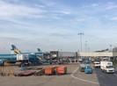 Sân bay Tân Sơn Nhất nghẽn trên trời, tắc dưới đất