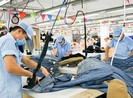 TP.HCM: Tổng thu kinh phí công đoàn tăng dần từng năm