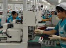 Đài Loan cấm công ty thu phí cách ly với lao đông nước ngoài