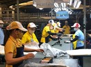 4 điểm mới nhất của Bộ luật Lao động sửa đổi